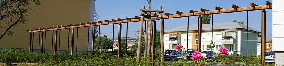 Rankwand Stahlpfosten mit Rankseilen - Ulrike Kühn Aussen Raum Ausstattung